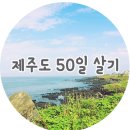 신도리민박 이미지