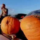 NFS RACING 이미지