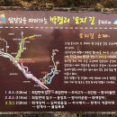 경남 하동 여행코스 탄소없는 십리벚꽃길 호리병속 별천지
