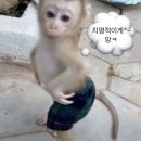 라인업휘트니스 | [라인업휘트니스] 단체 바디프로필 후기.zip