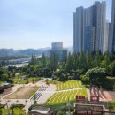 열린행정사사무소 이미지