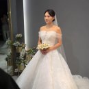 헬렌하우스 | 플레너 없이 셀프 웨딩 기록 :: 더에이미 본식 가봉 후기(펄,달리아,로지,헬렌)