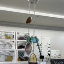 금풍목장 | [강화유니버스 4일차]짜장면을 오픈런 한다는 것 / 금문도, 진달래섬, 솔트커피, 잠시섬 후기