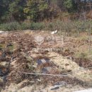 눌왕리농장 이미지