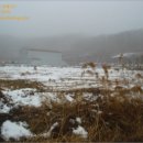 대전조돈길 이미지