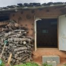 샛터농장 이미지