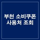 대상주유소 | 부천 민생지원금 소비쿠폰 사용처 부천페이 주유소 가맹점 조회