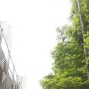 일진세탁소 이미지