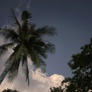 THE HAPPY TAIL(더해피테일) | 필리핀 - 말라파스쿠아 두번째 다이빙(키무드숄, 모나드숄)