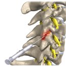 이도한의원 이미지