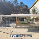 용인한빛중학교 이미지