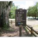 메기대감 이미지