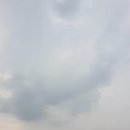 회룡프라자약국 이미지