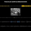 Sample Breakdown (1990-2024) 이미지