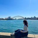 행주로718-5 | 호주 시드니 호텔 메리톤 스위트 켄트 스트리트 취사 가능 시내 숙소 추천