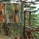 자연과호수2 이미지