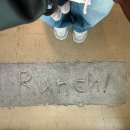 수원천 | 수원여행 행궁동 필수코스 수원천 브런치맛집 '런치' 내돈내산 솔직후기