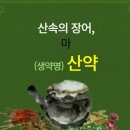 약초이야기 이미지