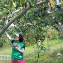 갈산농장 이미지