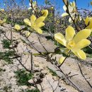 자은도에서 이미지