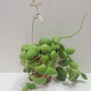 탄중로425번길 이미지