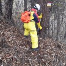 소나무헬스 이미지