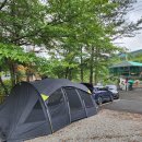 전원일기마을 오토 캠핑장 | 계곡 물이 맑고 시설이 깨끗한 경주캠핑장 전원일기펜션오토캠핑장 후기