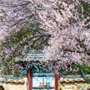 밀양향교 이미지