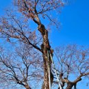 관아공원화장실 이미지