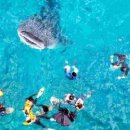 리라안경 이미지