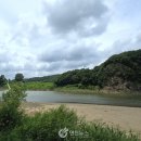 평화강변수목캠핑장 이미지