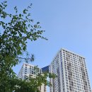 이랜드 PEER 둔산 이미지