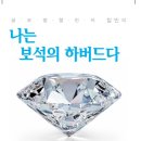 나보석