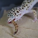 천마리농장 이미지