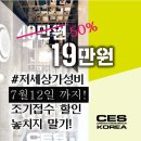 더팔페이션