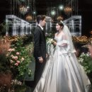 다다웨딩&플라워