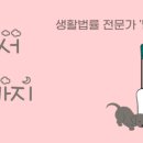 법무사유영형사무소