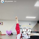 푸르매태권도 이미지