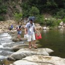 옥동포도농장 이미지