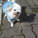 아람이네 이미지