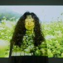 국립극단 연극 <가지> 이미지