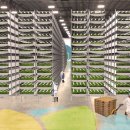 제창농장 이미지