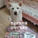 벳글로벌