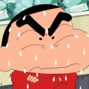 카프리짐 이미지