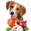 아인스동물병원 이미지