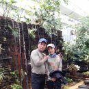 의풍분교온달캠핑장 이미지