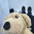 사랑치과의원 이미지