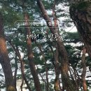 솔밭공원3 이미지