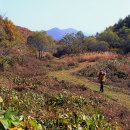 충북진천 만뢰산 이미지