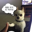 유미농장 이미지